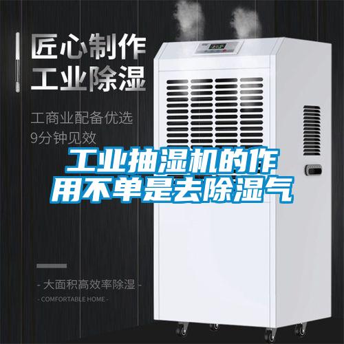 工业抽湿机的作用不单是去樱桃TV在线观看气