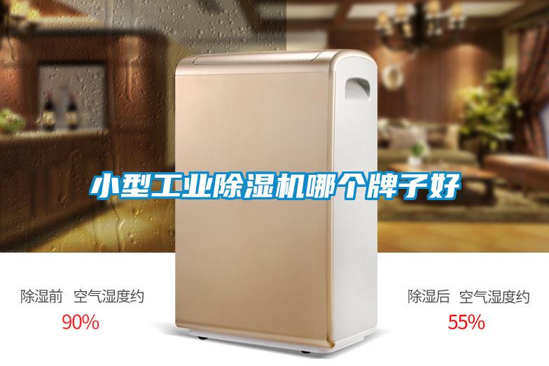 小型工业樱桃TV在线观看机哪个牌子好