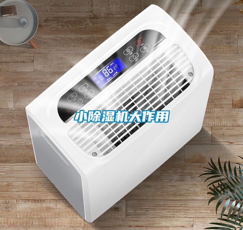 小樱桃TV在线观看机大作用
