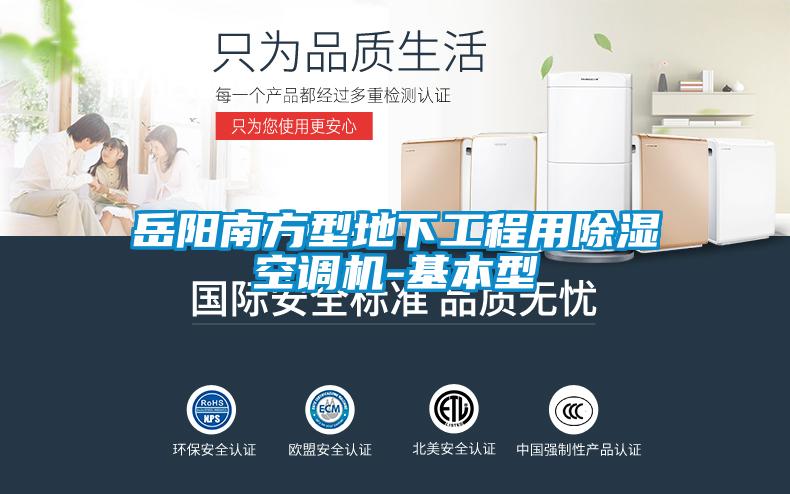 岳阳南方型地下工程用樱桃TV在线观看空调机-基本型