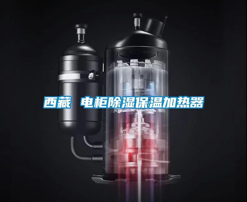 西藏 电柜樱桃TV在线观看保温加热器