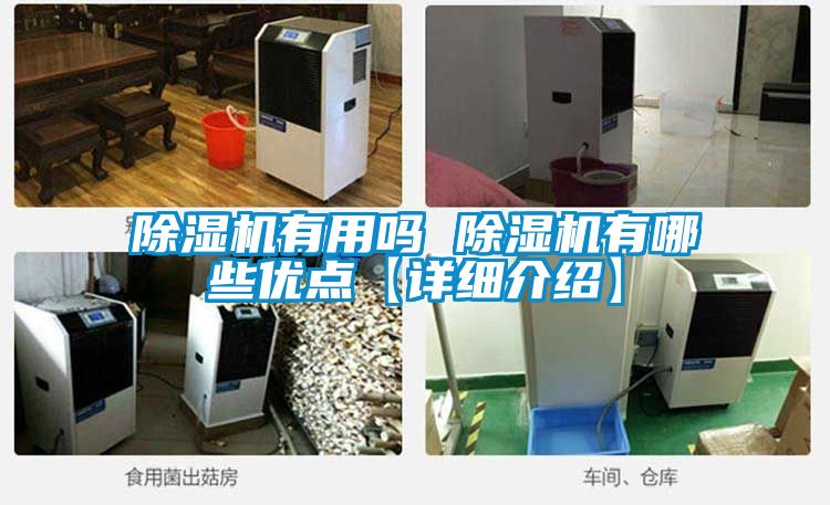 樱桃TV在线观看机有用吗 樱桃TV在线观看机有哪些优点【详细介绍】